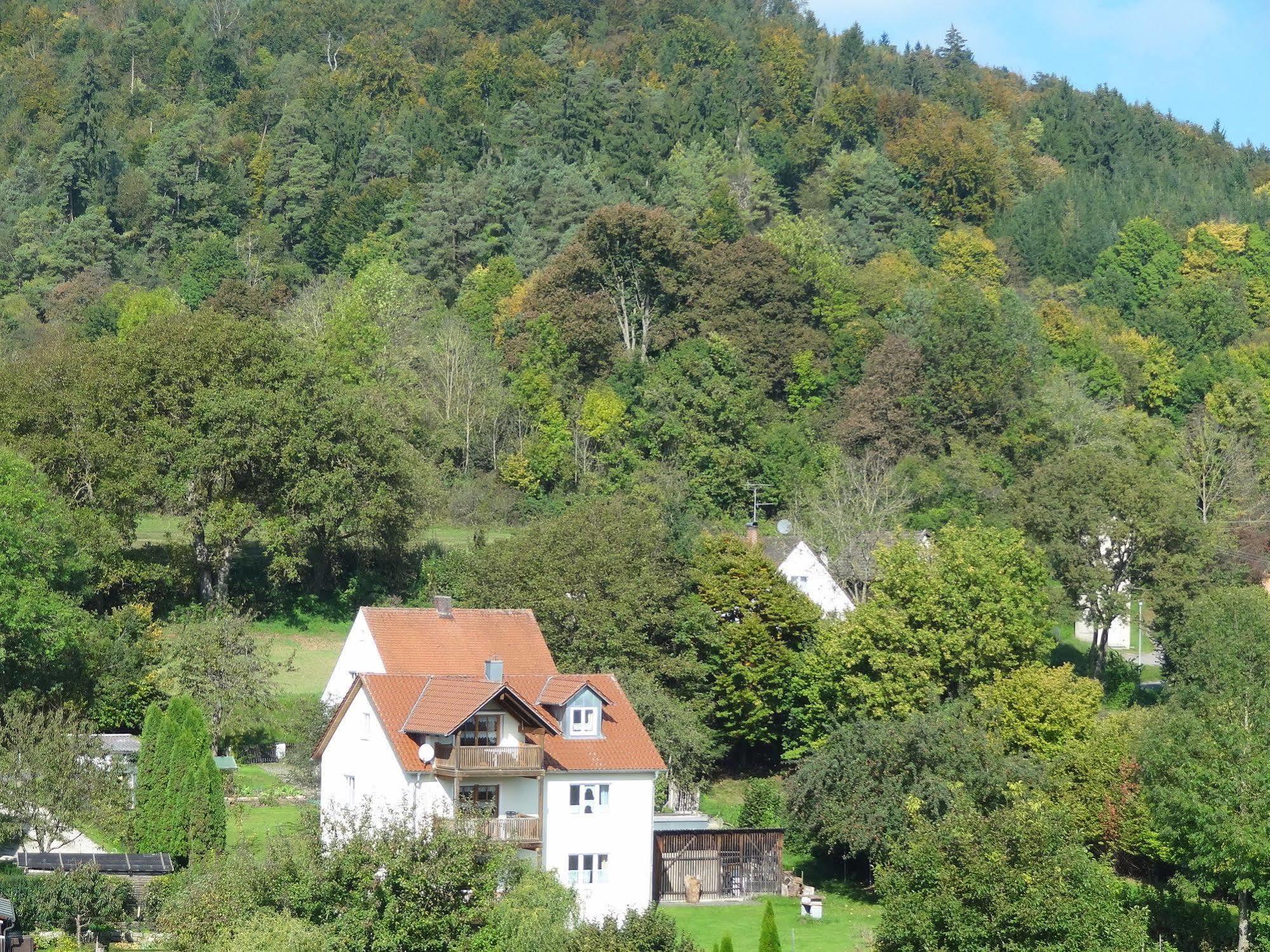 Donauer Im Altmuehltal - Ferienwohnungen Biberbach  Extérieur photo
