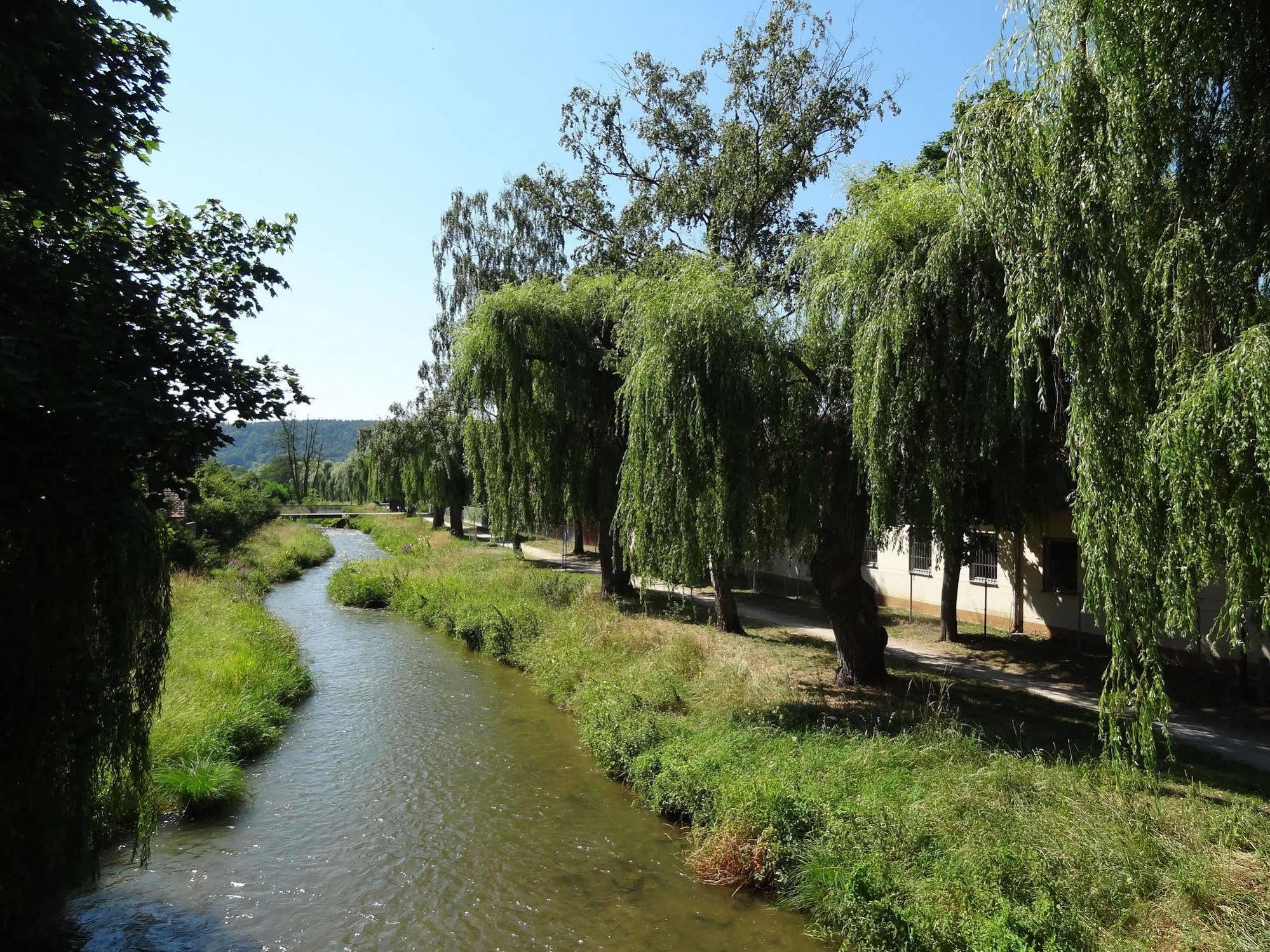 Donauer Im Altmuehltal - Ferienwohnungen Biberbach  Extérieur photo